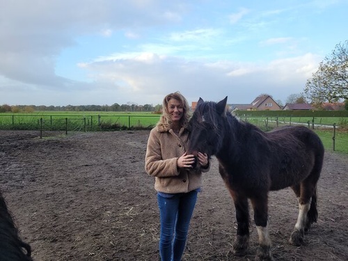 Therapie Monster - Westland