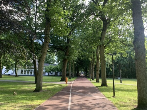Therapie Driebergen