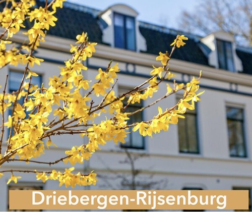 Therapie Driebergen-Rijsenburg