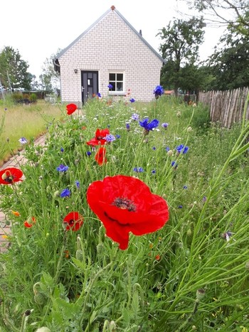 Therapie Boxmeer Therapie Boxmeer